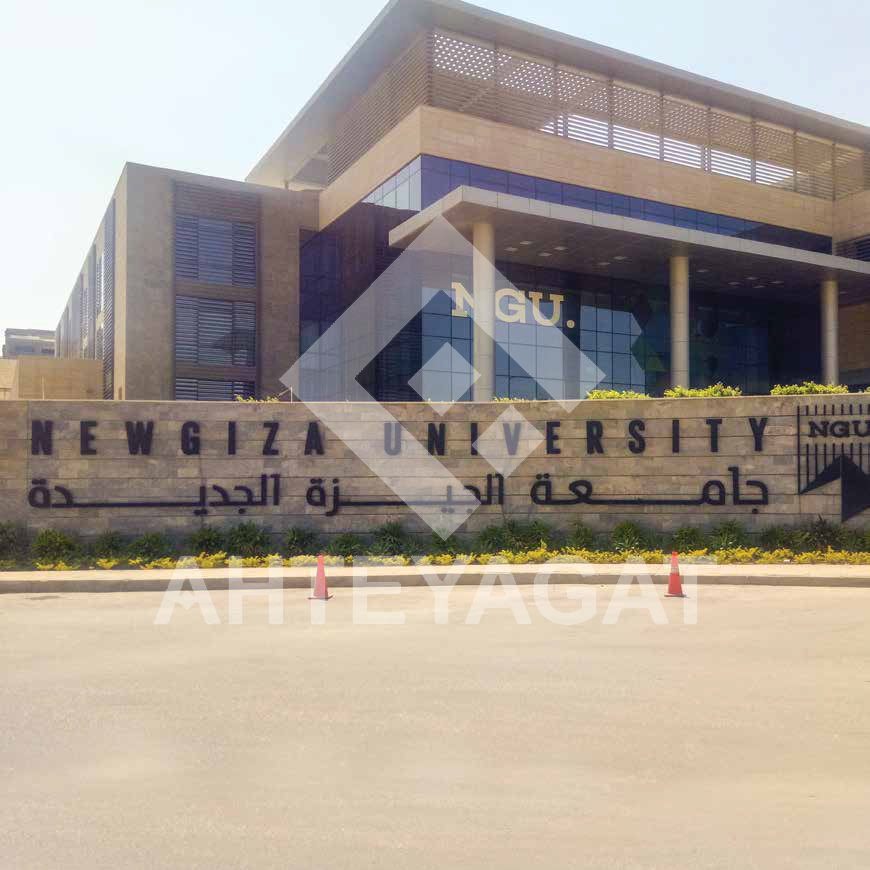 594754_fc2f4a3c30344db7bb5706932e249505-13